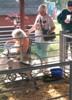 wheelchair users at petting zoo