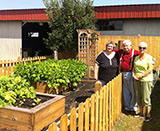 The Wayne County Master Gardener's accessible garden.