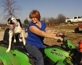 Toto rides on the back of Diana's four wheeler.
