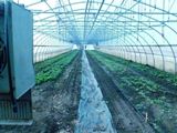 The hoop house at the Organic Field School in Eagan, Minnesota.