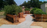 Oakmont ILC Accessible Garden