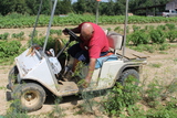 David Johnson in his golf cart