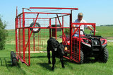 Farmer catching calf with ATV calf catcher