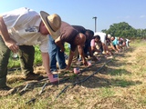 Battleground to Breaking Ground seedplanting veterans