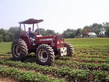 Ed Bell on tractor with lift