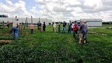 Tuttle Orchards farm tour