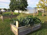 Maine AgrAbility raised-bed garden