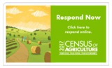 census of agriculture logo
