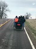 Participants heading to Farm Safety Day