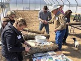 Mushroom cultivation workshop FVC of Indiana