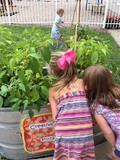 KY Easter Seals Children's Garden