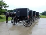 Amish buggies