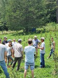 Blueberry cultivation workshop