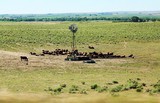 Nebraska scene