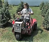 Peggy Milliman used Ventrac vehicle to inspect growing Christmas trees

