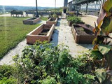 KSY demonstration accessible garden raised beds