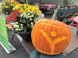ME AgrAbility pumpkin with AgrAbility logo