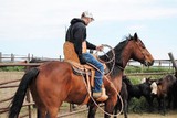Nebraska farmer on a horse with an adapted saddle