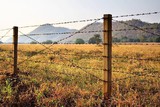 Shield to Field fence built by veterans for veterans