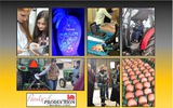 Women in Ag "Pearls of Production" conference collage