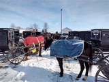 Amish buggies in snow at N IN Grazing Conference