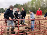 Students and lambs in pen