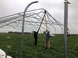 Two workers raising high tunnel center arch