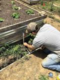 Kyle installing irrigation system