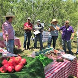 Farmers market booth inspection