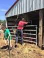 Maine students working on local farm