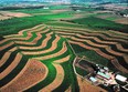 Wisconsin farm fields