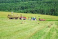 Working in PA fields