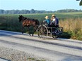 Amish man and son in horse-drawn wagon