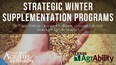 Strategic Winter Supplementation Programs poster