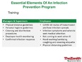 Chart showing essential elements of  an infection prevention program