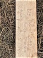 Plank of wood on dead grass the wood is light in color with the inscribing B2B german extra hardy 10-30-20 etched into it