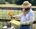 Travis Harper wearing a hat with a net falling down covering his face and neck and long rubber gloves while holding a brush and a comb of honey from his bee keeping he has a smoke can next to him to keep bees relaxed while he works on collecting the honey.