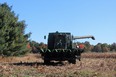 Picture of a green combine coming at you in a dry corn field with tree rows on the left and behind the combine.