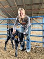 Picture of Elisabeth Gooch in blue jeans and gray long-sleeve shirt standing in a calf pen holding a black calf that is standing on it's feet. She is a student paraprofessional- joins Missouri AgrAbility to assist with social media outreach and client data