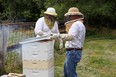 2 people in beekeeping hats and white shirts working with a white beehive in a green field with a fence behind them