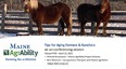 2 work horses standing in snow inside board fence & below pic is Maine AgrAbility logo and title TIPS FOR AGING FARMERS & RANCHERS