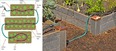 Pic on rt showing part of 2 raised-bed gardens with garden hose running between them. On left is drawing of watering system for the gardens