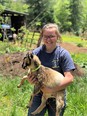 Girl with glasses in blue jeans & dark blue t-shirt standing in pasture & holding baby goat with florescent green collar in her arms