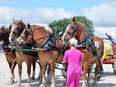 Amish woman in white cap and pink dress with back to camera looking at 4 brown draft horses in harness drawing a red wagon with a large yellow spray container on it