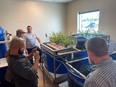 4 men in room looking at large blue aquaponics tanks and plants growing in them