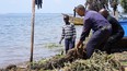 2 African fishermen pulling a net up on the beach of a lake with an African boy in front of them