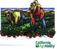 Painting of 2 migrant workers with straw hats working in field of green & red plants with CA AgrAbility logo underneath