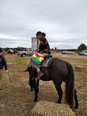 Young Black-Native American woman in brightly colored Native American dress on back of dark brown horse with pickup trucks & silo in background