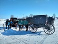 Enclosed Amish buggies and horses hitched to  a rail in the snow with bright blue sky