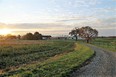 Sunset over an OH farm with farm buildings in background & field on left with a winding road & trees on right